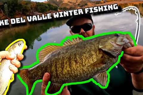 Chasing Trout & Smallmouth! (Lake Del Valle Fishing)