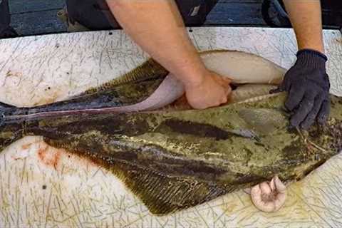Halibut fishing: catch clean cook - How to Fish for Halibut & Cook Halibut
