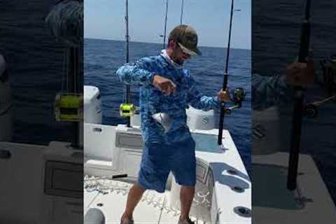 Catching Fish using Lettuce for Bait