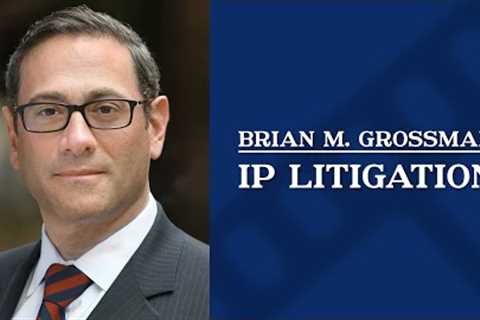 IP Litigation | Brian Grossman