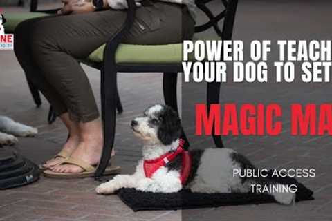 Teach your dog to be in calm in public, by teaching a your dog to Settle on The Magic Mat