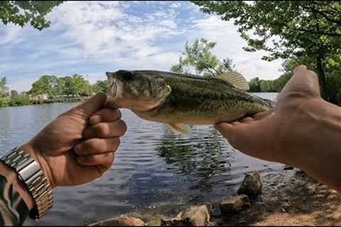 Went pond/lake hopping in Nassau County, Long Island looking for good spots to fish