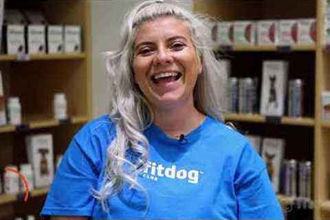 Teaching your dog the focus cue | Fitdog Training