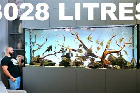 AQUARIUMS OF THE RICH: Huge High End Aquarium Design