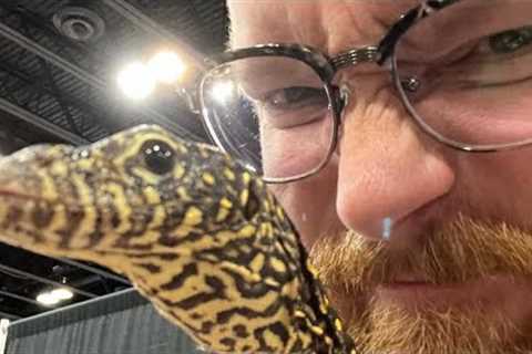 Tour of Tinley Park at the NARBC with TONS of exotic reptiles!
