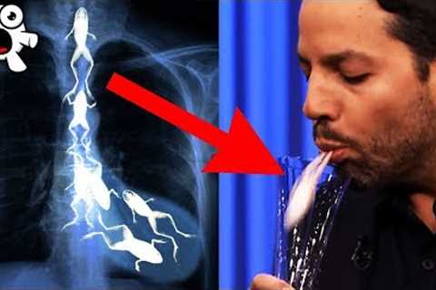 Secrets Of The Greatest Magic Tricks REVEALED &amp; EXPOSED