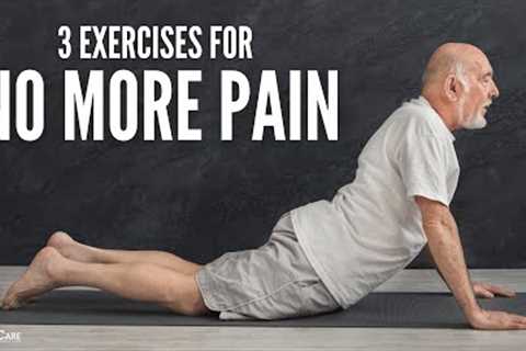 The 3 Best Back Exercises (For NO MORE PAIN)