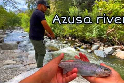 TROUT Fishing at AZUSA RIVER