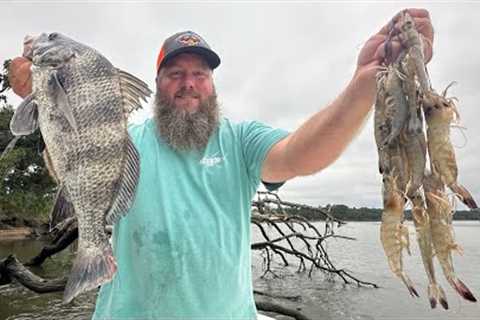 Shrimping & Fishing in South Carolina's Low Country!!! Catch Clean Cook