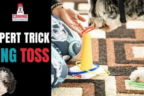 CLA's TRICKS-MAS COUNTDOWN ✨ How to Teach Your Dog Ring Toss Trick (expert trick)