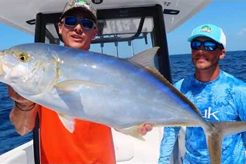 Catching Rare Electric Blue Fish For Catch and Cook{tarpon, Cubera snapper and more}