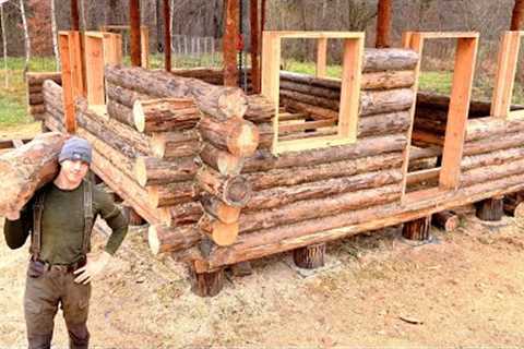 I Spent 30 Days Alone Building a LOG CABIN in the Forest With My Dog, First Top of the Wooden Wall