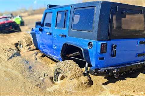 ☠️ RC CARS vs. QUICKSAND BEACH! 😱 (Epic Recovery Mission!)