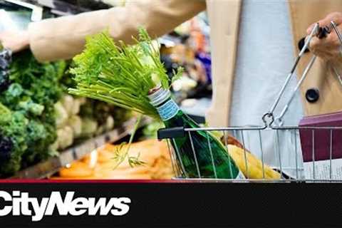 Grocery prices set to rise sharply in 2025