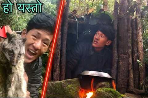 I Build a Survival Shelter ! Hunting Wild Animal ! Survival Camping Skills