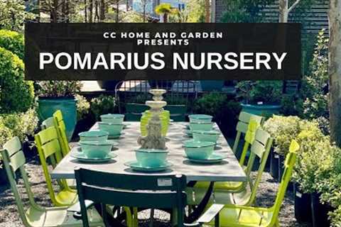 A Garden Center  In the Middle of The City!  🌿💚