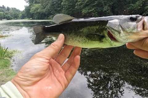 Water hopping in Westchester County - Fishing Gedney Park and Bronx River