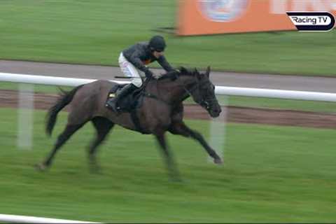ROYAL INFANTRY impresses at Haydock