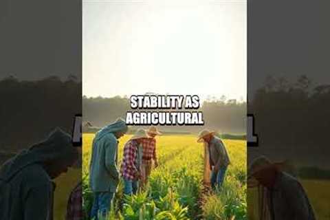 Current Events: The Global Food Crisis and Economic Impacts