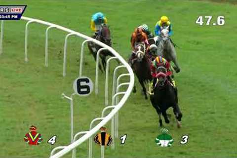 AFRICAN GOLD: THE ROYAL CALCUTTA TURF CLUB CUP(22)