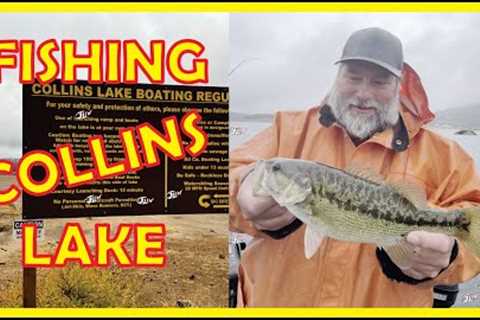 Fishing Collins Lake | Strange Looking Lightning Trout! 🤣😂🥲