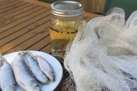 SF Bay Herring Catch & Cook | Pickled Herring + Bonus Recipe!