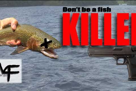 W4F - Fly Fishing - How to Handle Trout