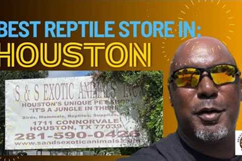 Best Reptile Store in Houston!!! #pets #snake #youtubevideos #petstore