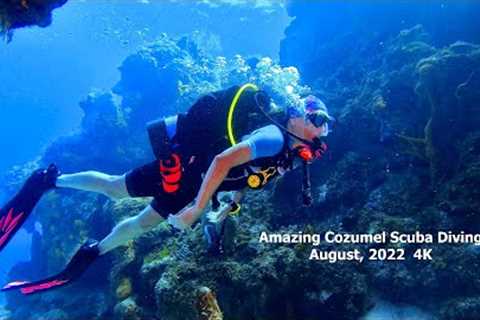 Amazing Cozumel Scuba Diving August, 2022 in 4K