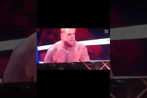 Mike and jake fight... 👍 #trending #sports #sport #short #viralvideo