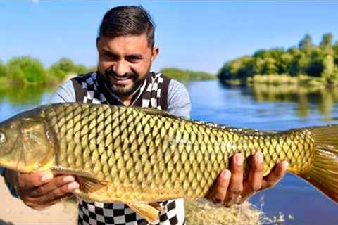 Fish Catching in The River | Fish Catch and Cook | Machli ka Sakar Unbelievable Type Fish Catch