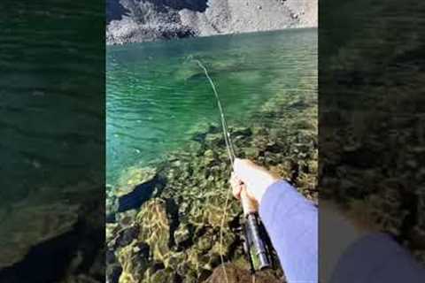 Fly fishing at 12,000 ft in an alpine lake
