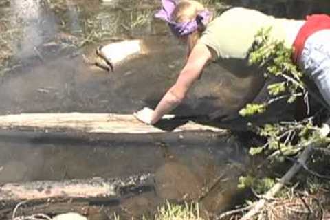 Wilderness Survival: Mountain Lakes (sample clips) with Thomas J. Elpel