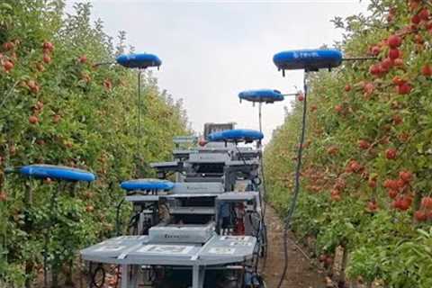 Israel enlists drones, AI and big data to farm for the future | AFP