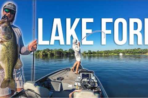 There are GIANTS EVERYWHERE (Lake Fork Summer Bass Fishing)