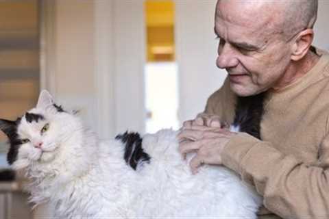 Clicker Training with Cats