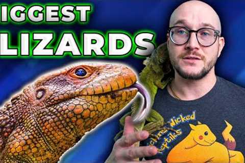 BIG Lizards Are BAD PETS! Well, Except These 5 AMAZING HUGE Pet Lizards!