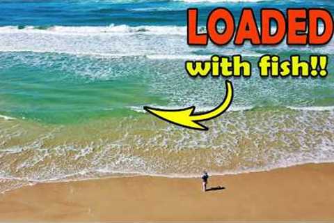 Catching &amp; cooking the TASTIEST fish on the beach! Ultra-light tackle fun!