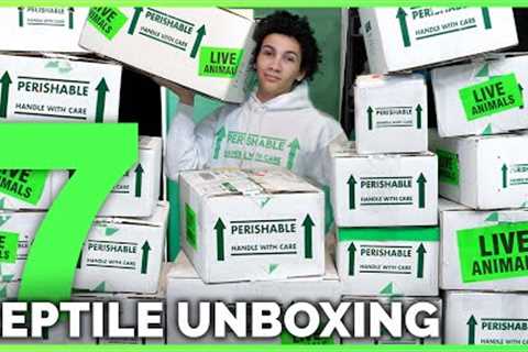 Unboxing 30 New Reptiles! Big &amp; Small Geckos, Boas, Pythons, Turtles &amp; More