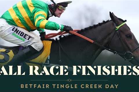 All race finishes from Betfair Tingle Creek Day at Sandown Park