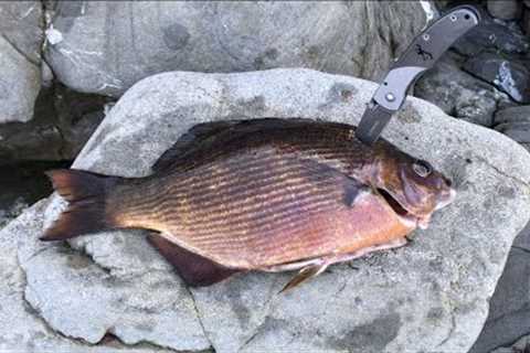 CATCH and COOK | Grill Fish Over Campfire | Ft. Fisherman’s Life