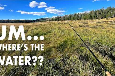 Fishing a RIDICULOUSLY Tiny Mountain Meadow Creek! (Tenkara Fly Fishing)