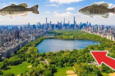 Fishing in Central Park! New York City! (Epic)