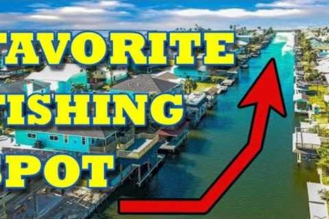 My FAVORITE Fishing Spot | Fish are STACKED Here All YEAR | SEE WHY !!