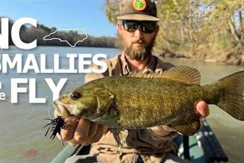 Fly Fishing for Fall Smallmouth in NC | Tips and Tactics