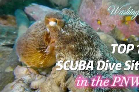 Top #10 Best Scuba Dive Sites In The PNW, Seattle Washington Diving