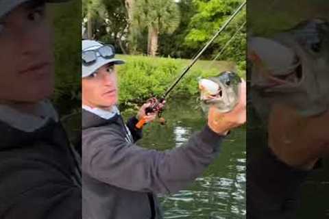 How to Catch a Fish #Shorts