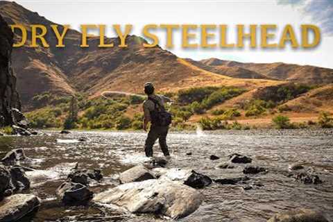 Solo Camping and Fishing SKATERS for Early Fall Steelhead