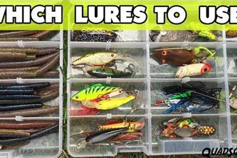 What Lure Should I Use? - Fishing 101