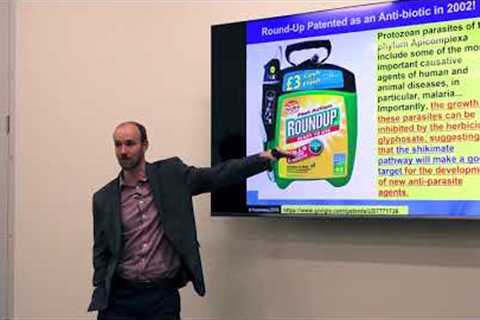 Heal Your Gut, Heal Your Brain - How Hidden Gut Problems Cause Anxiety and Depression
